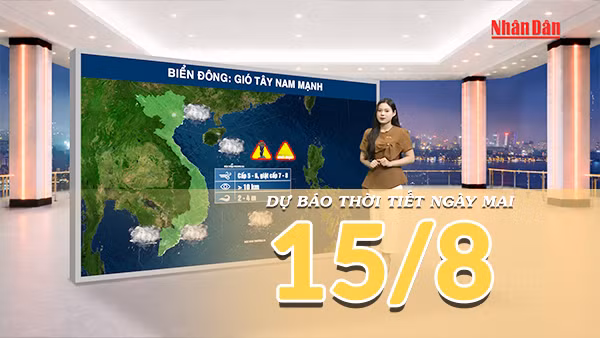 [Video] Dự báo thời tiết đêm nay và ngày mai ngày 15/8/2026: Mưa gia tăng tại Bắc Bộ và Trung Bộ, Nam Bộ tiếp tục có dông