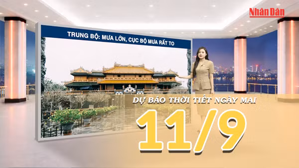[Video] Dự báo thời tiết đêm nay và ngày mai 11/9/2026: Không khí lạnh tăng cường, mưa lớn diện rộng trên cả nước