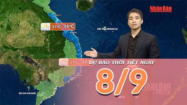 [Video] Dự báo thời tiết ngày 8/9/2026: Bắc Bộ tạnh ráo, Trung Bộ và Nam Bộ nhiều nơi mưa dông