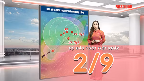 [Video] Dự báo thời tiết ngày 2/9/2026: Nắng nóng diện rộng tại Bắc Bộ và Trung Bộ, Nam Bộ có mưa dông về chiều tối