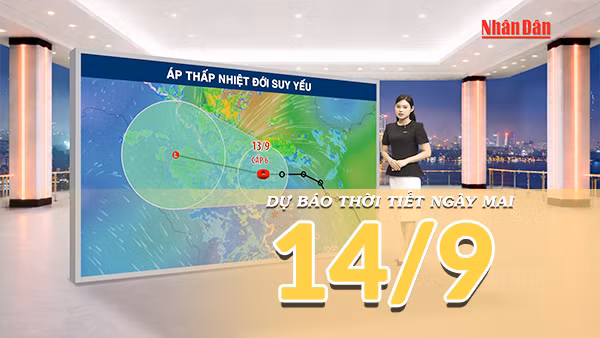 [Video] Dự báo thời tiết đêm nay và ngày mai 14/9/2026: Áp thấp nhiệt đới suy yếu, Trung Bộ tiếp tục mưa lớn