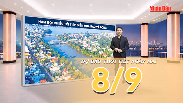 [Video] Dự báo thời tiết đêm nay và ngày mai 8/9/2026: Bắc Bộ còn mưa rải rác về đêm, Trung Bộ và Nam Bộ tăng mưa 