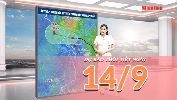 [Video] Dự báo thời tiết ngày 14/9/2026: Áp thấp nhiệt đới suy yếu, Trung Bộ tiếp tục mưa lớn