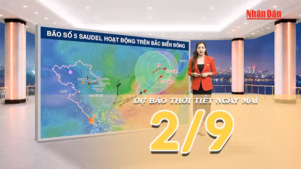 [Video] Dự báo thời tiết đêm nay và ngày mai 2/9/2026: Bắc Bộ nắng mạnh, Trung Bộ giảm mưa