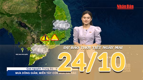 [Video] Dự báo thời tiết đêm nay và ngày mai 24/10/2026: Cả nước ít mưa, riêng miền Tây còn mưa dông 
