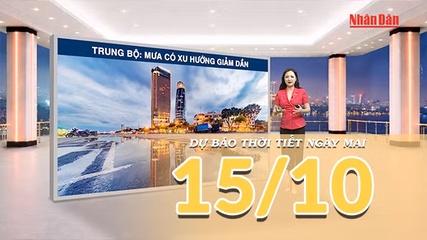 [Video] Dự báo thời tiết đêm nay và ngày mai 15/10/2026: Bắc Bộ nắng ráo, miền Trung mưa giảm dần