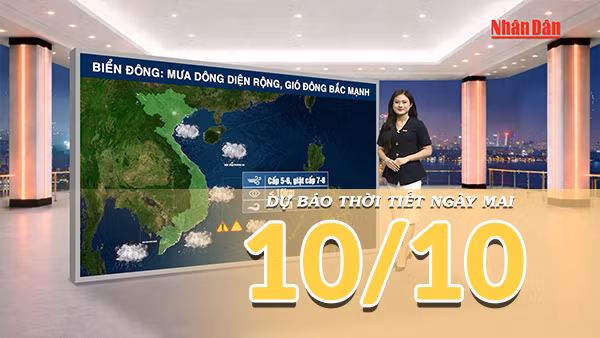 [Video] Dự báo thời tiết đêm nay và ngày mai 10/10/2026: Không khí lạnh tăng cường khiến Bắc Bộ chuyển mưa, Trung Bộ tiếp diễn mưa lớn