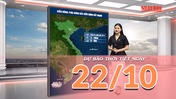 [Video] Dự báo thời tiết ngày 22/10/2026: Không khí lạnh tăng cường, miền Bắc nhiều mây, miền Trung có mưa 