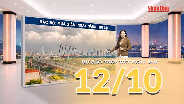 [Video] Dự báo thời tiết đêm nay và ngày mai 12/10/2026: Mưa thu hẹp dần tại Trung Bộ, Nam Bộ có mưa rào về chiều tối