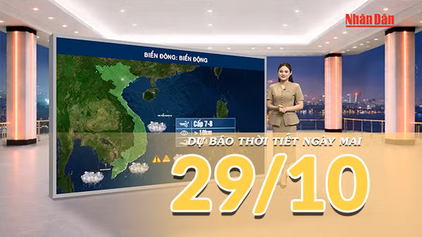[Video] Dự báo thời tiết đêm nay và ngày mai 29/10/2026: Mưa giảm nhanh ở Trung Bộ, Nam Bộ tiếp tục có mưa dông