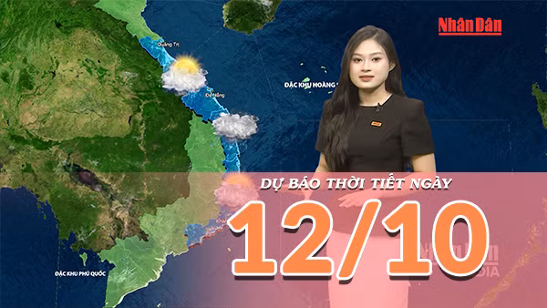 [Video] Dự báo thời tiết ngày 12/10/2026: Bắc Bộ nắng trở lại, Trung Bộ mưa lớn thu hẹp dần
