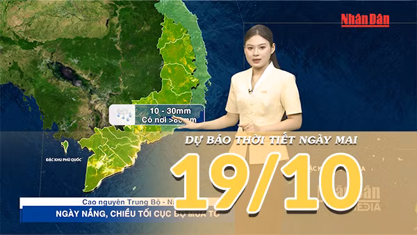 [Video] Dự báo thời tiết đêm nay và ngày mai 19/10/2026: Mưa lớn gia tăng tại Nam Bộ, Bắc Bộ và Trung Bộ rải rác có mưa vài nơi
