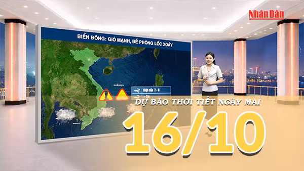 [Video] Dự báo thời tiết đêm nay và ngày mai 16/10/2026: Không khí lạnh tiếp tục suy yếu tại Bắc Bộ và Trung Bộ, Nam Bộ đề phòng mưa dông