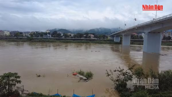 [Video] Khẩn trương triển khai phương án ứng phó lũ trên các tuyến sông