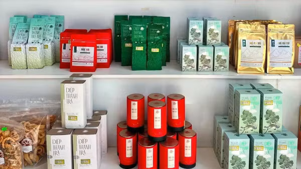 Các sản phẩm chè Tủa Chùa ngày càng được chuẩn hóa bao bì, mở rộng thị trường tiêu thụ và nâng tầm giá trị. (Ảnh: Mỹ Linh)