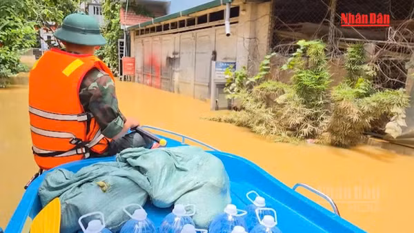 [Video] Bản lĩnh vùng tâm lũ 