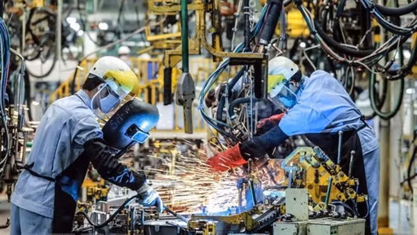 (Ảnh minh họa: Sở Khoa học và Công nghệ Hồ Chí Minh)