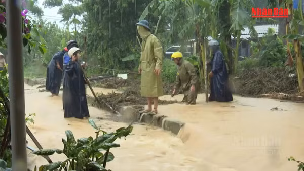 [Video] Quảng Trị khẩn trương khắc phục hậu quả mưa lũ 