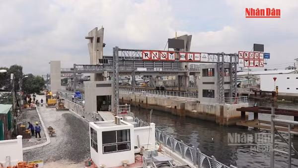 [Video] TP Hồ Chí Minh hoàn tất gỡ vướng cho 650 dự án tồn đọng kéo dài