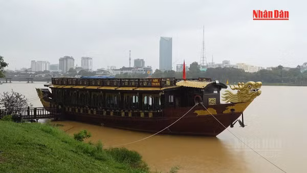 [Video] Huế mưa lớn kéo dài, có nơi lượng mưa vượt 700mm