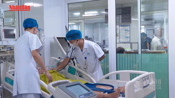 [Video] Sốc nhiệt nguy kịch do lao động giữa nắng nóng gay gắt