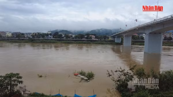 [Video] Cảnh báo lũ trên các sông khu vực Bắc Bộ và từ Thanh Hóa đến Quảng Trị
