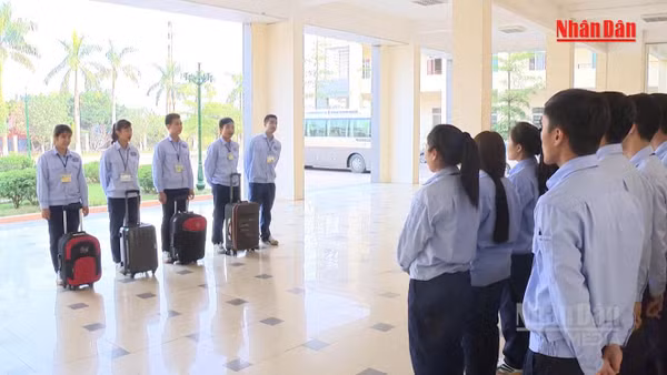 [Video] Chi phí môi giới chiếm tới hơn 50% tổng số tiền người lao động bỏ ra để đi làm việc ở nước ngoài 