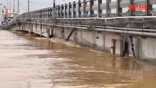 [Video] Rà soát kiểm tra các cầu yếu và công trình vượt sông có nguy cơ bị sạt lở, hư hỏng do mưa lũ