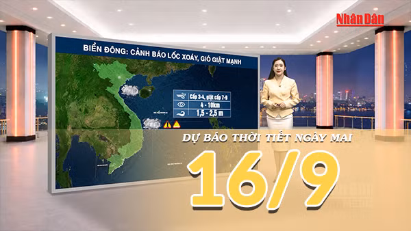 [Video] Dự báo thời tiết đêm nay và ngày mai 16/9/2026: Mưa lớn trên diện rộng ở miền Bắc có nơi trên 200mm