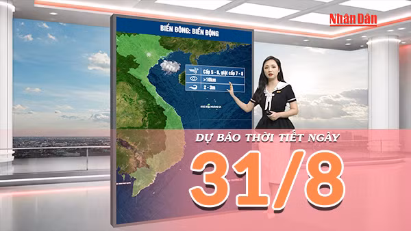 [Video] Dự báo thời tiết ngày 31/8/2026: Bắc Bộ dịu mát, Trung Bộ mưa tăng về chiều tối 