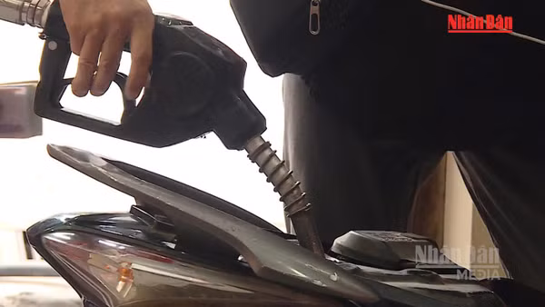 [Video] Chính phủ kéo dài thời hạn áp dụng loạt sắc thuế ưu đãi đối với xăng dầu đến hết năm