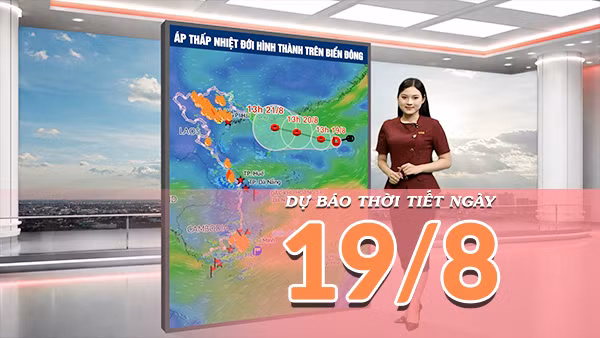 [Video] Dự báo thời tiết ngày 19/8/2026: Áp thấp nhiệt đới gây sóng lớn, Bắc Bộ và Trung Bộ mưa trên diện rộng