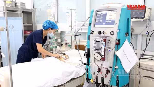 [Video] Phú Thọ: Cứu sống trẻ 15 tháng tuổi bị ong vò vẽ đốt 60 nốt