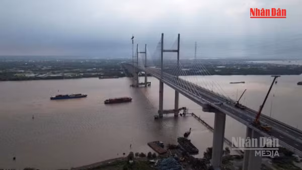 [Video] Cao tốc Bến Lức - Long Thành chính thức thông xe toàn tuyến