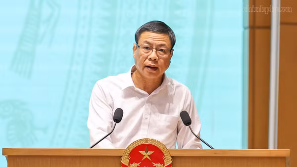 Thứ trưởng Khoa học và Công nghệ Lê Xuân Định phát biểu tại phiên họp. (Ảnh: chinhphu.vn)