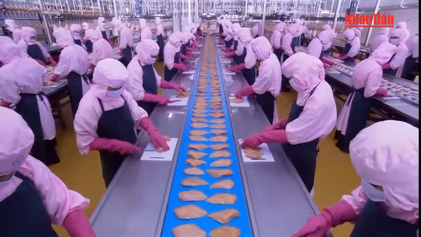 [Video] Tăng hỗ trợ doanh nghiệp nâng cao năng suất, chất lượng sản phẩm 
