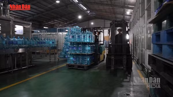 [Video] Hơn 325.000 doanh nghiệp bỏ địa chỉ đăng ký bị yêu cầu thu hồi giấy phép
