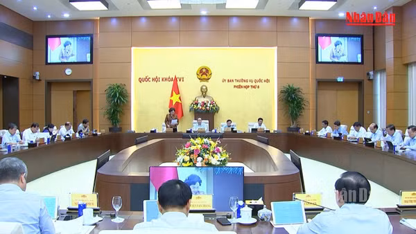 [Video] Đề nghị rà soát kỹ việc miễn thuế cho đơn vị cung cấp suất ăn trường học, bệnh viện