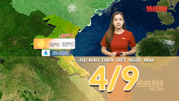 [Video] Dự báo thời tiết đêm nay và ngày mai 4/9/2026: Bão số 5 suy yếu, không còn khả năng ảnh hưởng trực tiếp đến Việt Nam