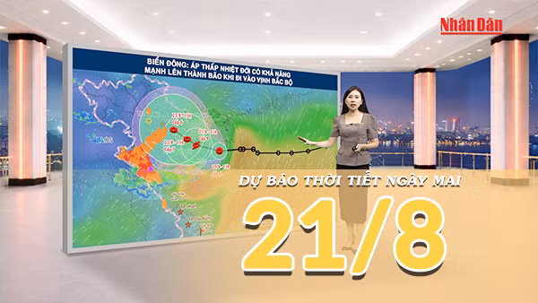 [Video] Dự báo thời tiết đêm nay và ngày mai ngày 21/8/2026: Áp thấp nhiệt đới có khả năng mạnh lên thành bão, Bắc Bộ mưa lớn 