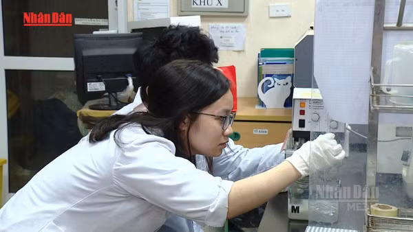 [Video] Đạo văn hoặc làm giả dữ liệu có thể bị cấm nghiên cứu khoa học vô thời hạn