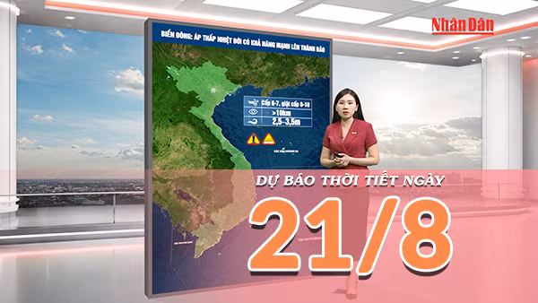 [Video] Dự báo thời tiết ngày 21/8/2026: Bão có khả năng hình thành trên Vịnh Bắc Bộ, Bắc Bộ và Bắc Trung Bộ mưa lớn 