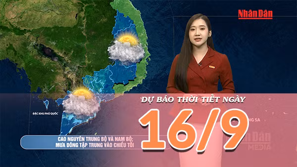 [Video] Dự báo thời tiết ngày 16/9/2026: Bắc Bộ mưa lớn kéo dài, Trung Bộ và Nam Bộ có mưa dông 