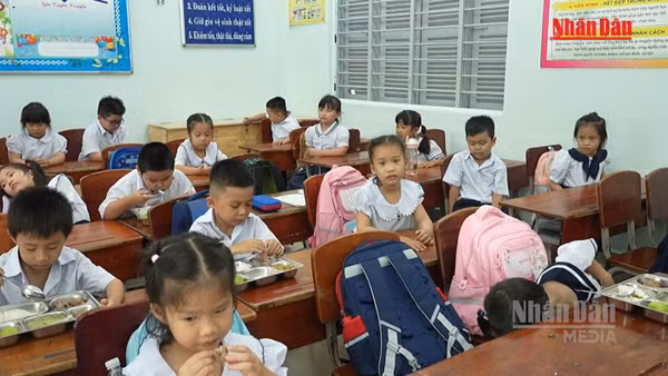 [Video] Hà Nội dự kiến tiền ăn bán trú của học sinh cao nhất 50.000 đồng 