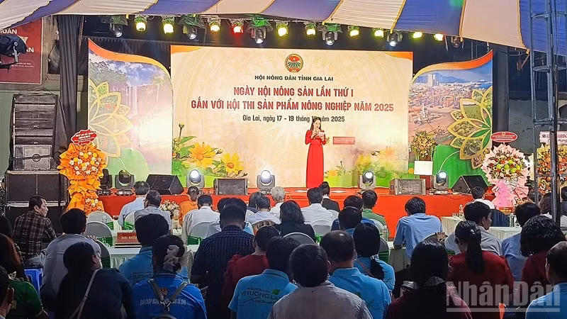 Toàn cảnh Ngày hội Nông sản tỉnh Gia Lai lần thứ I tại Quảng trường Đại Đoàn Kết, phường Pleiku.