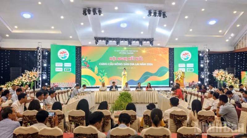 Quang cảnh hội nghị.