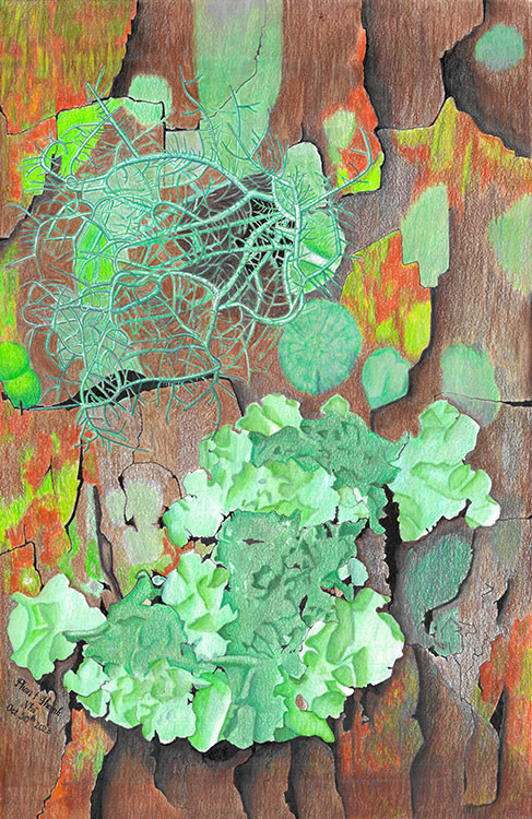 Tác phẩm của Phan Thị Thanh Nhã.