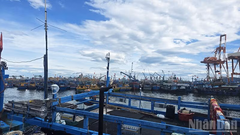 Gia Lai yêu cầu các lực lượng chức năng khẩn trương phối hợp triển khai công tác tìm kiếm, cứu nạn tàu cá BĐ 97258 TS.