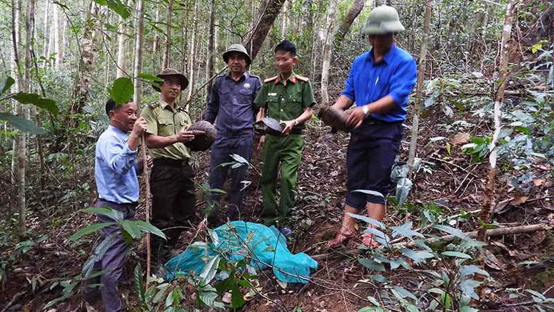 Chuẩn bị thả động vật rừng quý hiếm về tự nhiên.