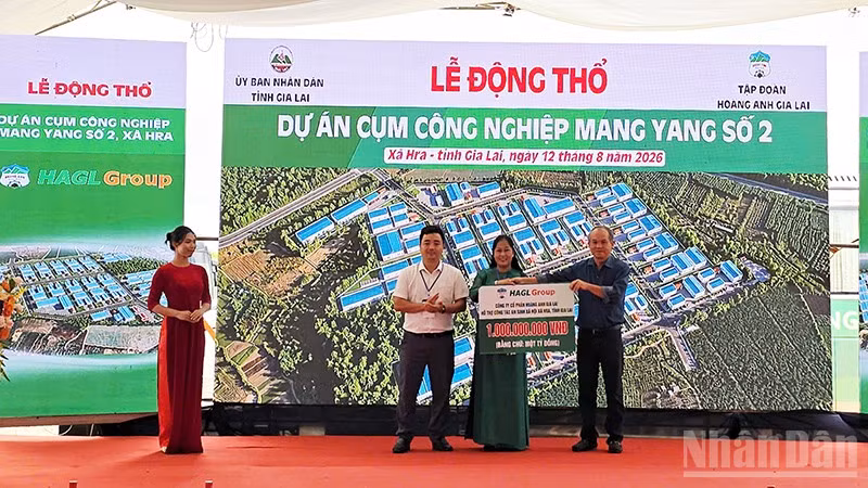 ndo_br_a5.jpg
